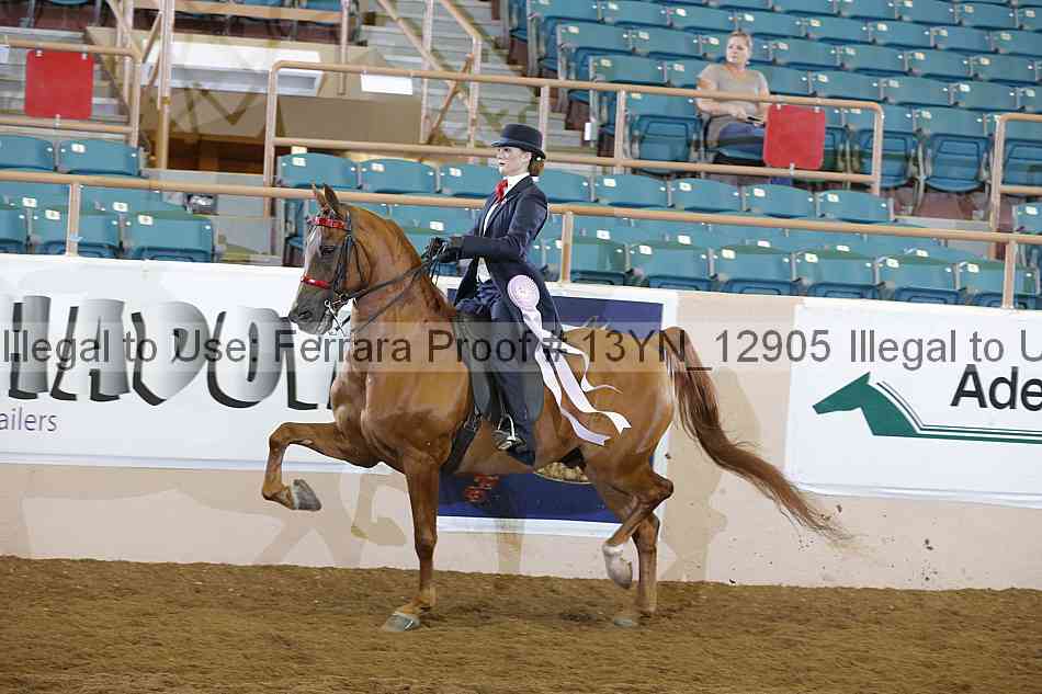 Proof 13yn_12905