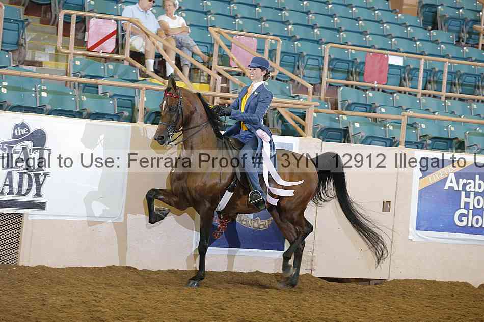 Proof 13yn_12912