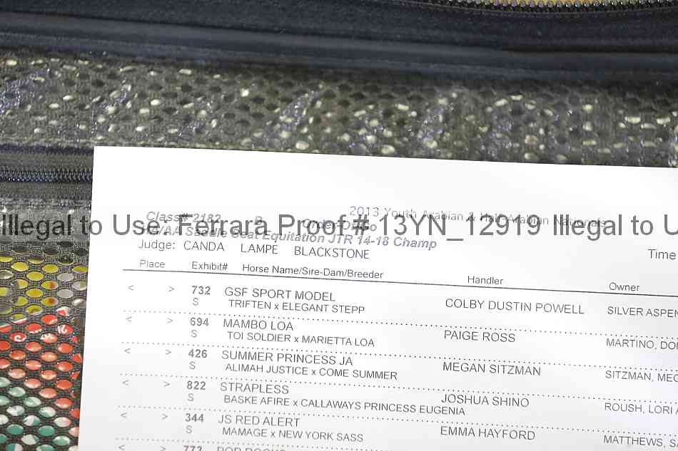 Proof 13yn_12919