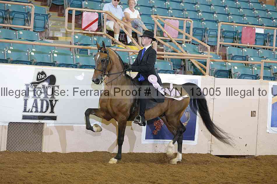 Proof 13yn_13005