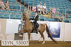 13yn_13007 proof