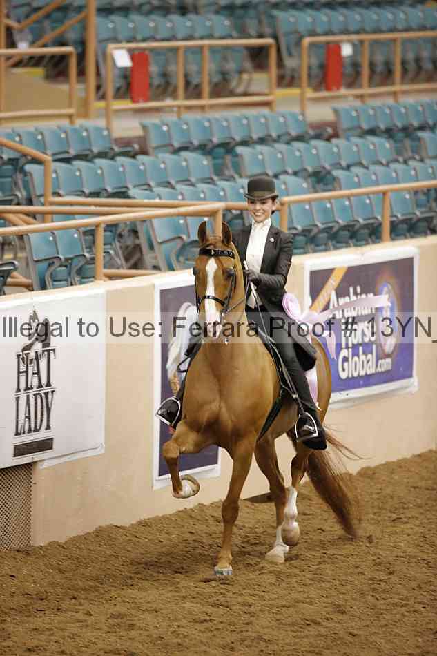 Proof 13yn_13009