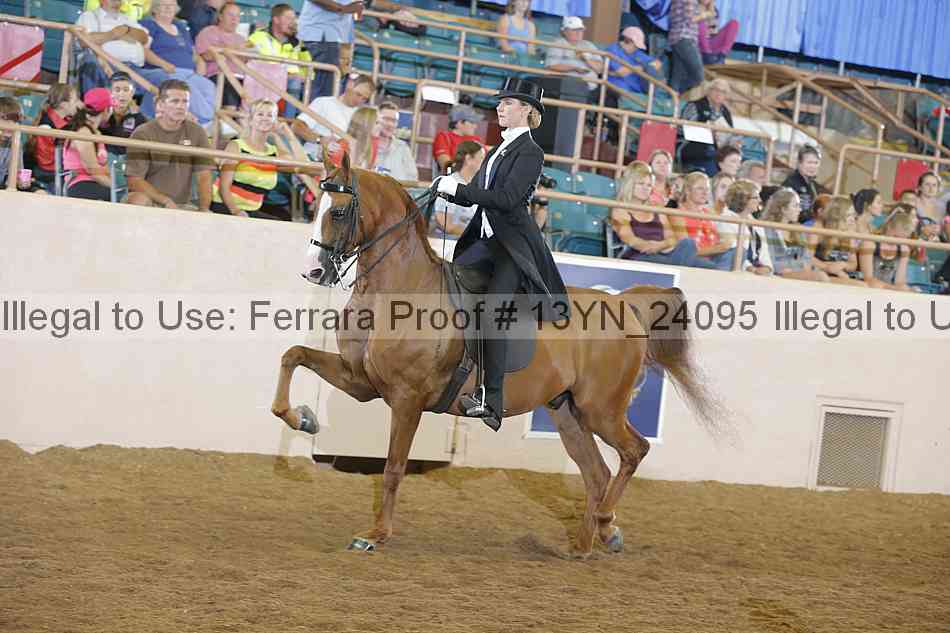 Proof 13yn_24095
