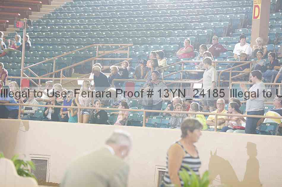 Proof 13yn_24185