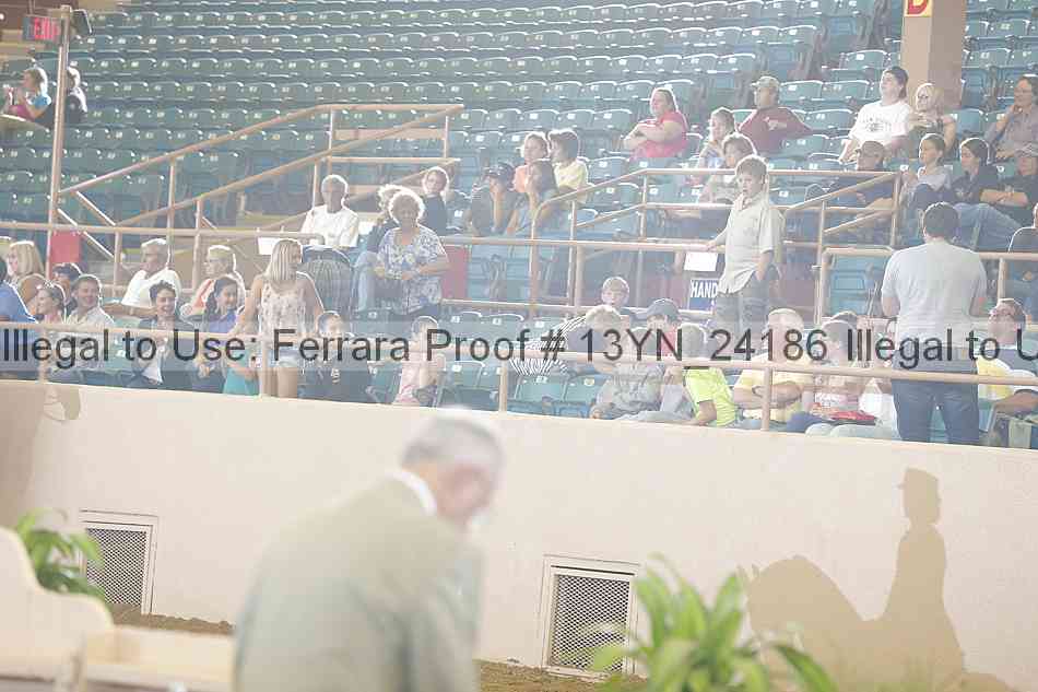 Proof 13yn_24186