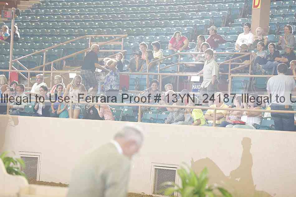 Proof 13yn_24187