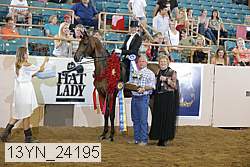 13yn_24195 proof