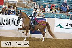 13yn_24248 proof