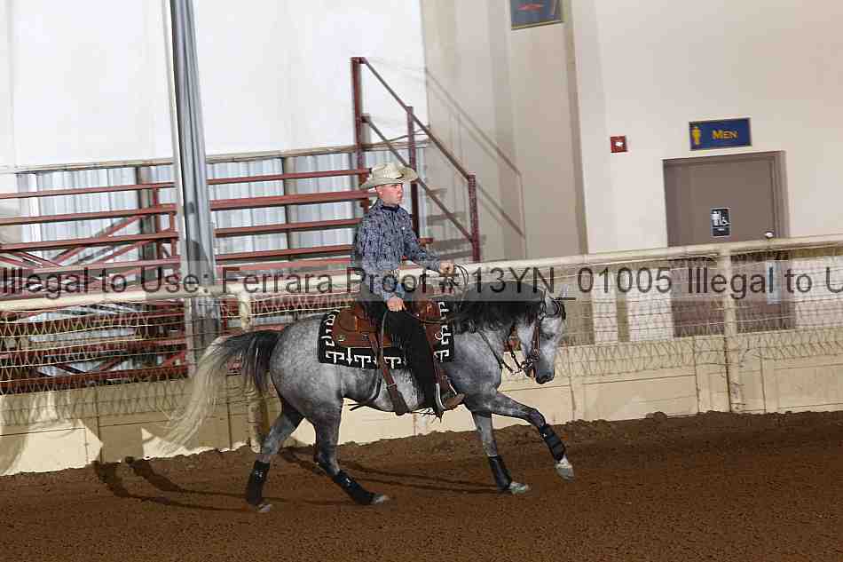 Proof 13yn_01005