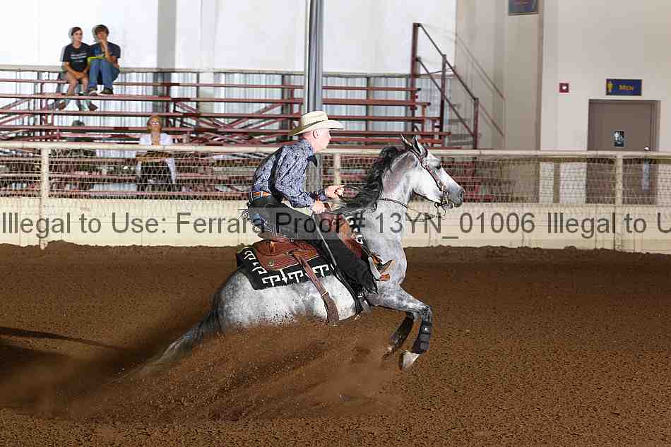 Proof 13yn_01006