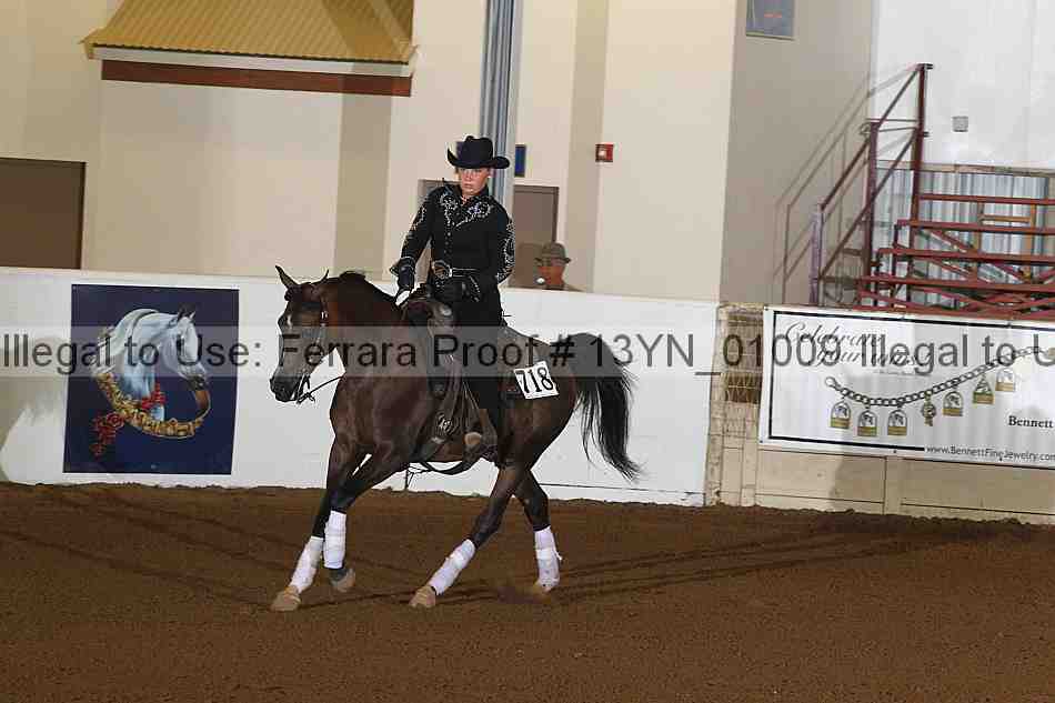 Proof 13yn_01009