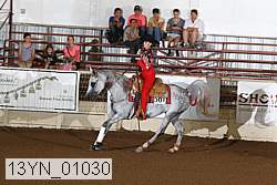 13yn_01030 proof