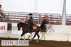 13yn_01036 proof