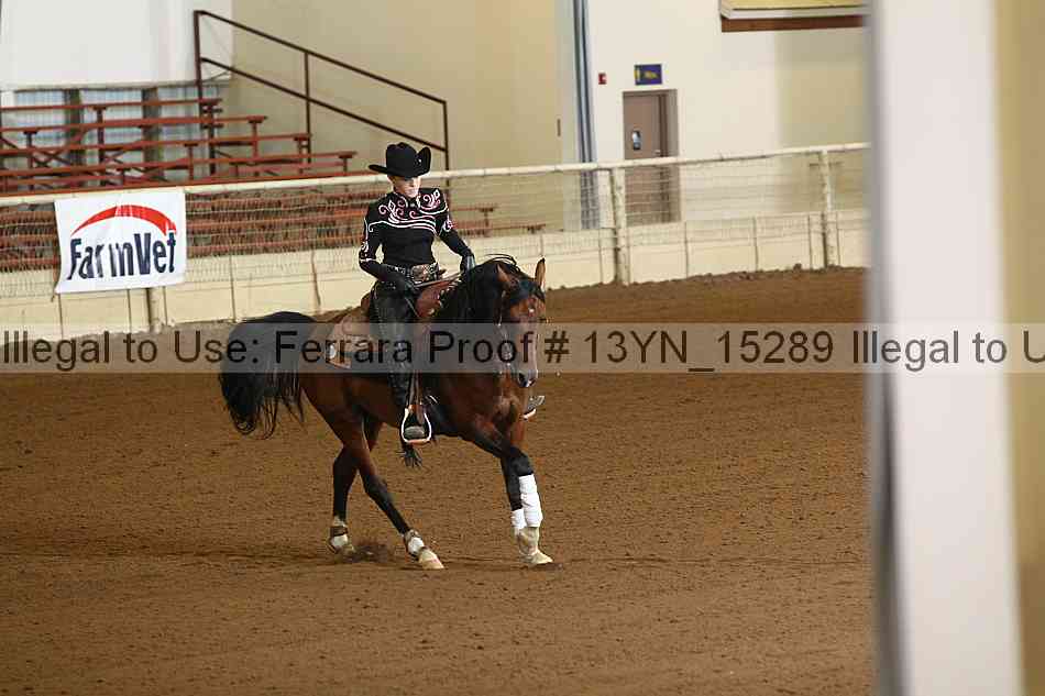 Proof 13yn_15289