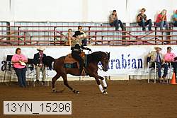 13yn_15296 proof