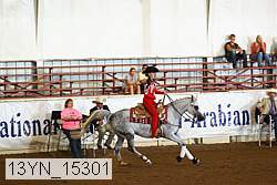 13yn_15301 proof