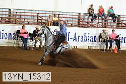 13yn_15312 proof