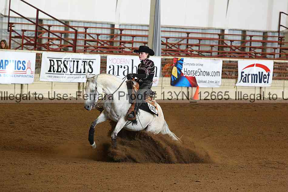Proof 13yn_12665