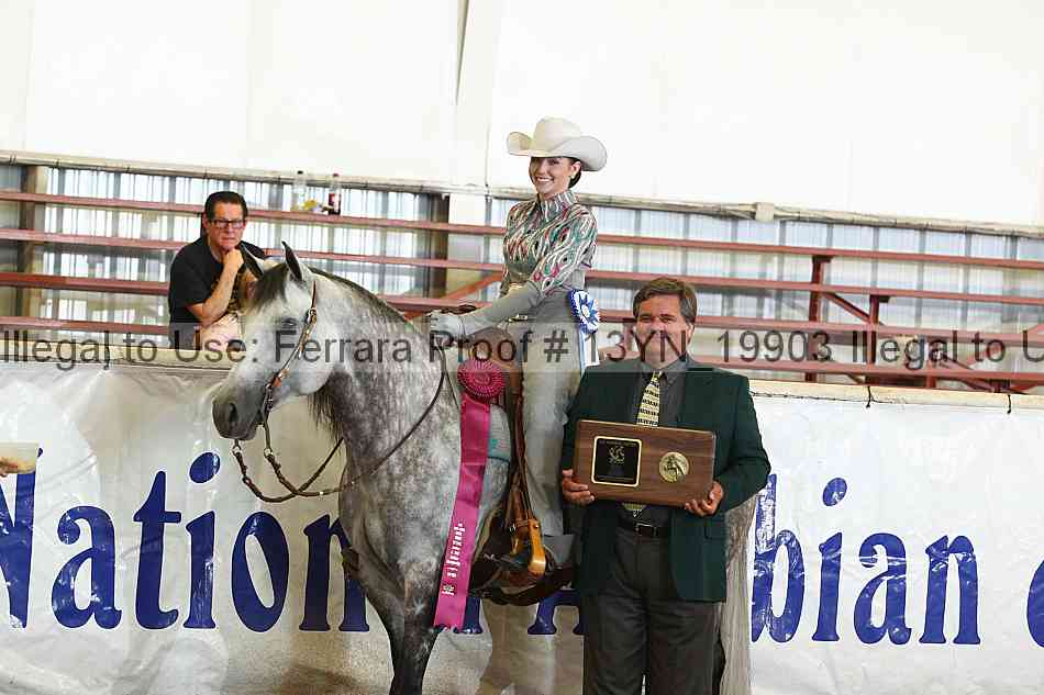Proof 13yn_19903