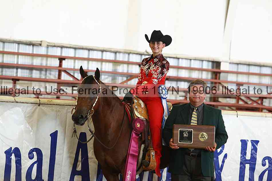 Proof 13yn_19906