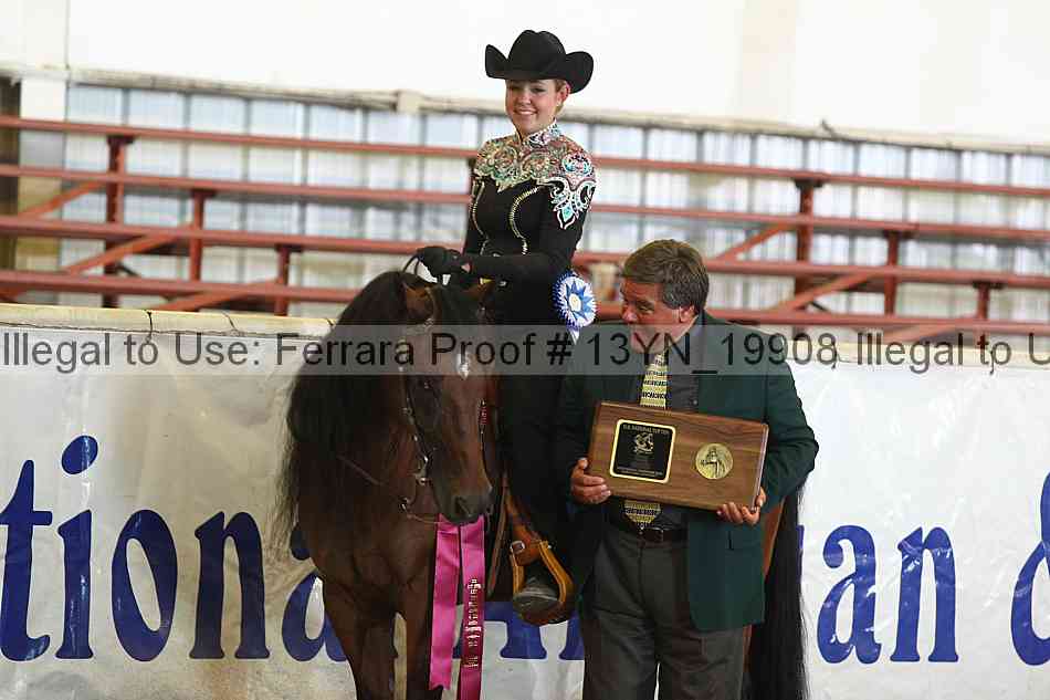 Proof 13yn_19908