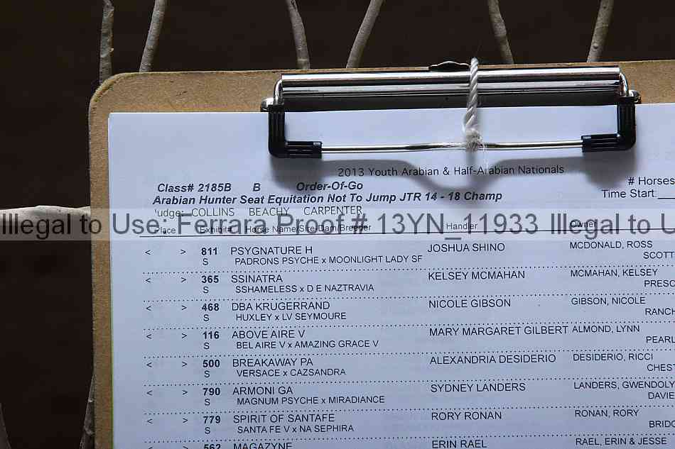 Proof 13yn_11933