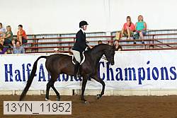13yn_11952 proof