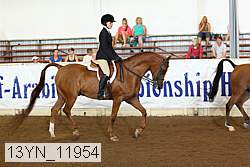 13yn_11954 proof