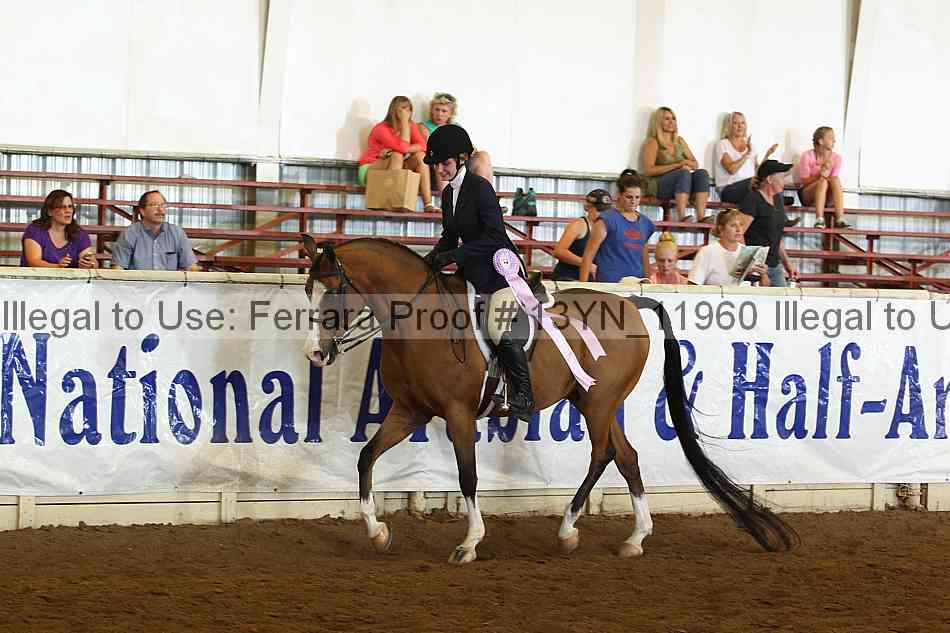 Proof 13yn_11960