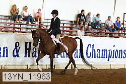 13yn_11963 proof