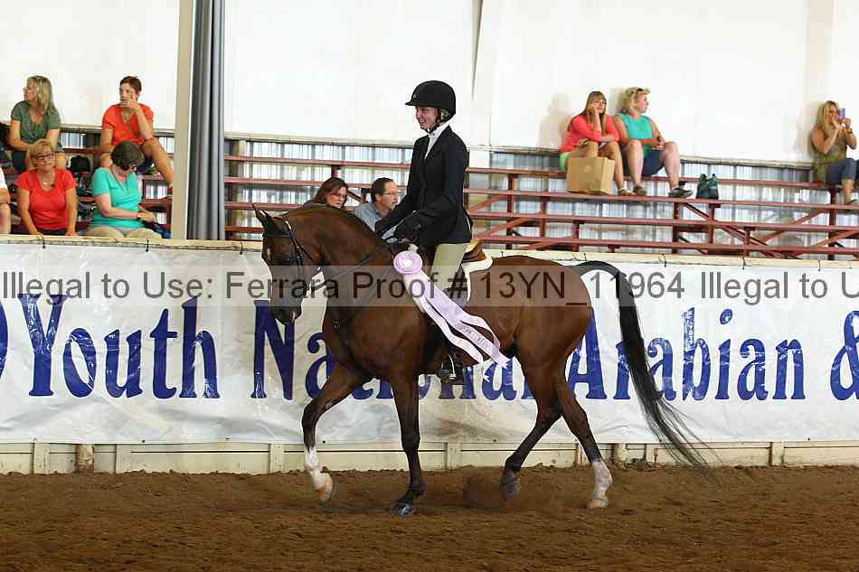 Proof 13yn_11964