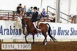 13yn_11965 proof
