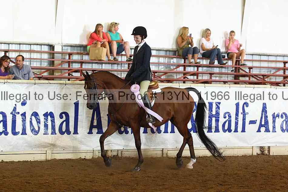 Proof 13yn_11966