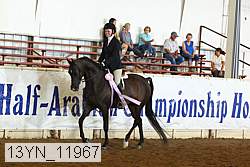 13yn_11967 proof