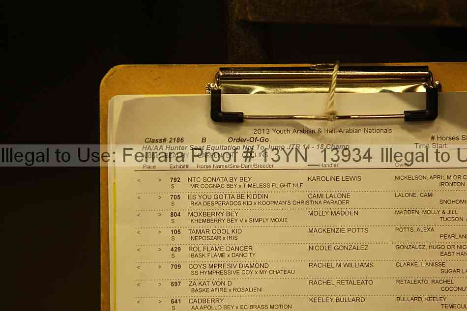 Proof 13yn_13934