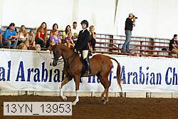 13yn_13953 proof