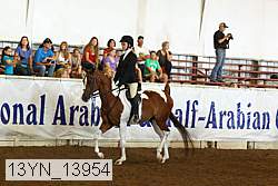 13yn_13954 proof