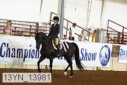 13yn_13981 proof