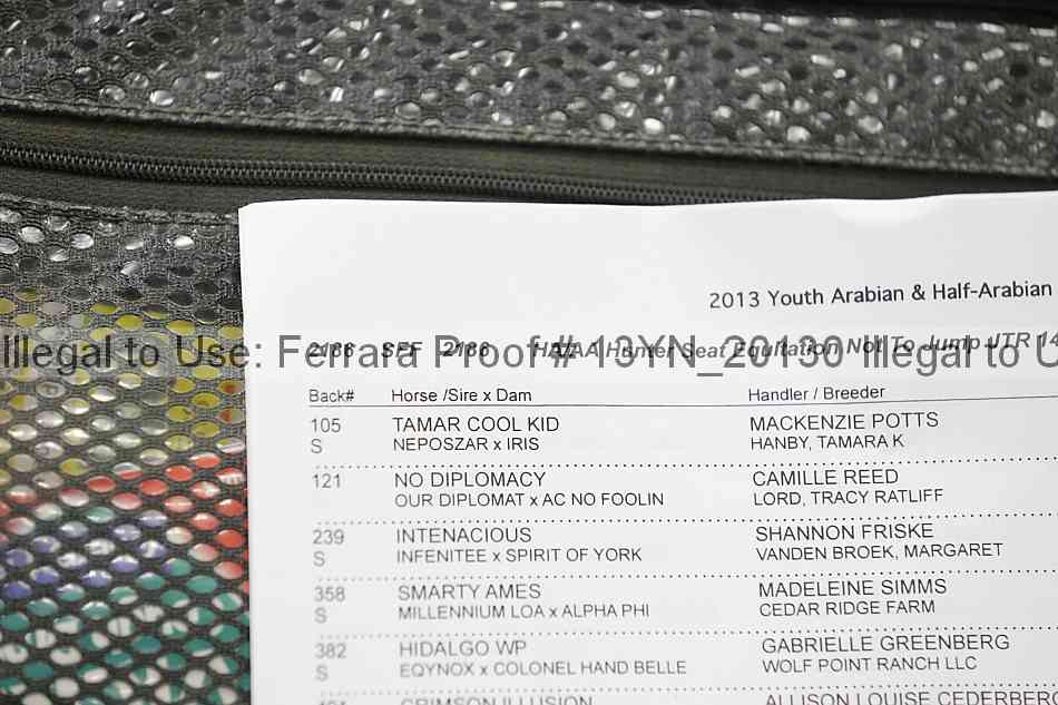 Proof 13yn_20130