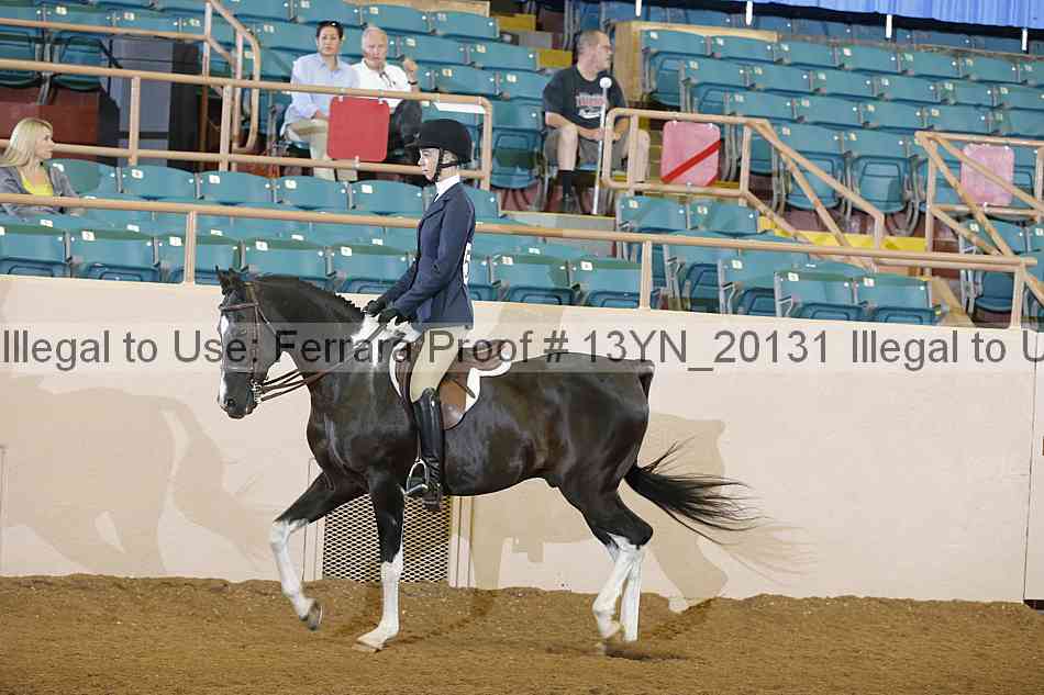 Proof 13yn_20131