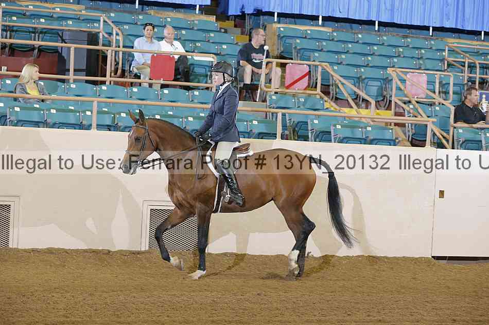 Proof 13yn_20132