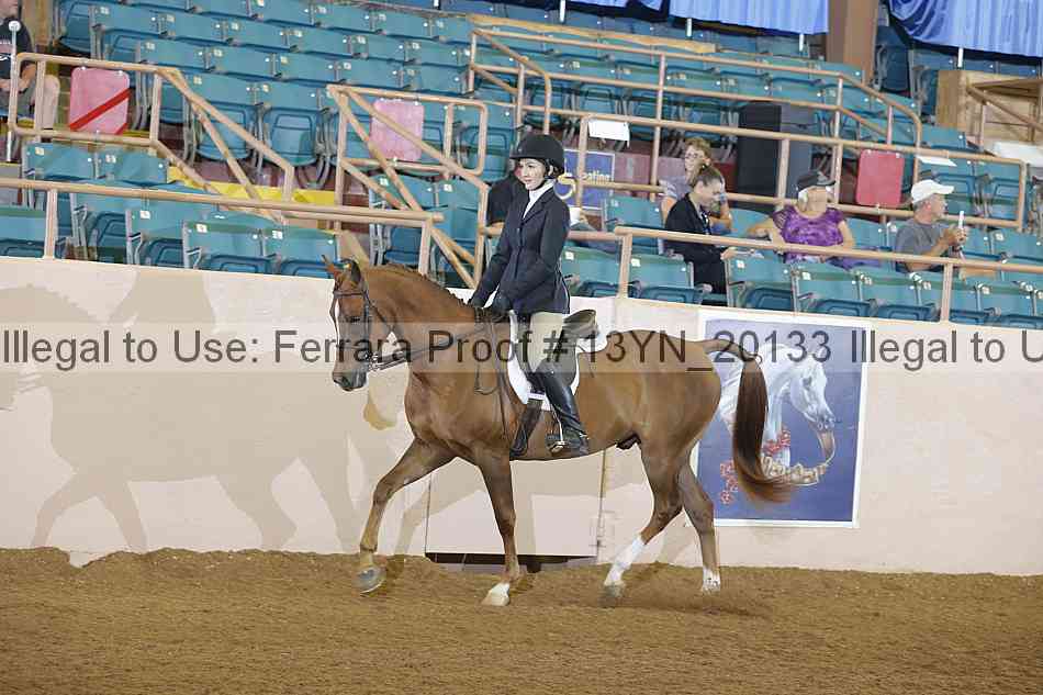 Proof 13yn_20133