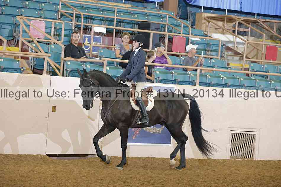 Proof 13yn_20134