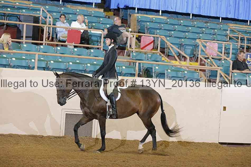 Proof 13yn_20136