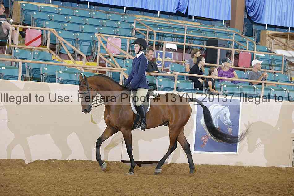 Proof 13yn_20137