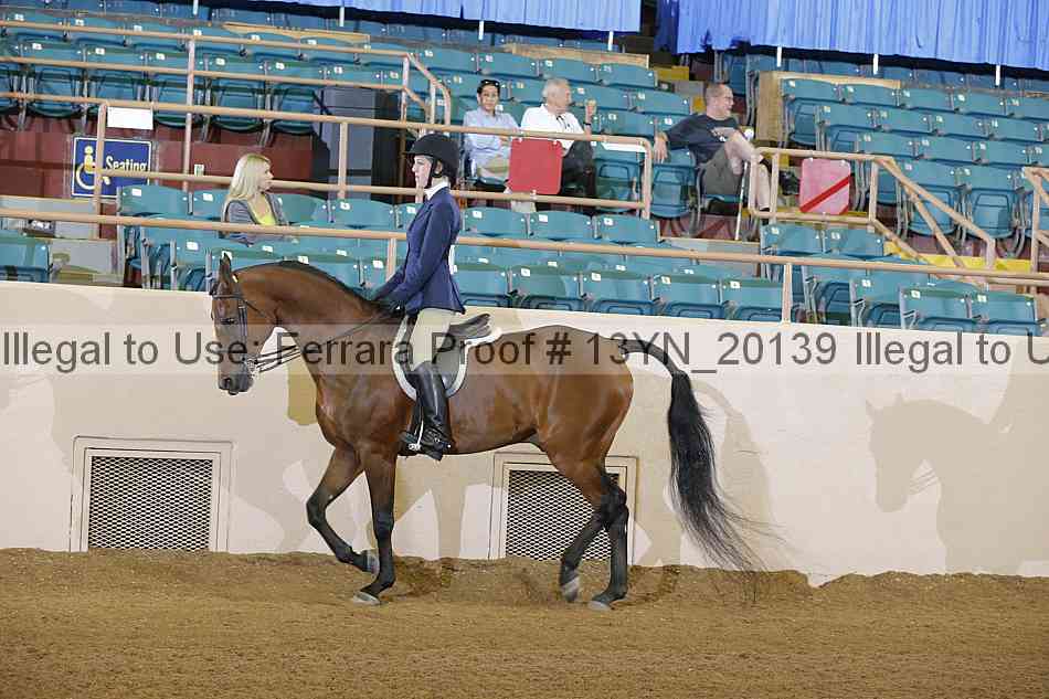 Proof 13yn_20139