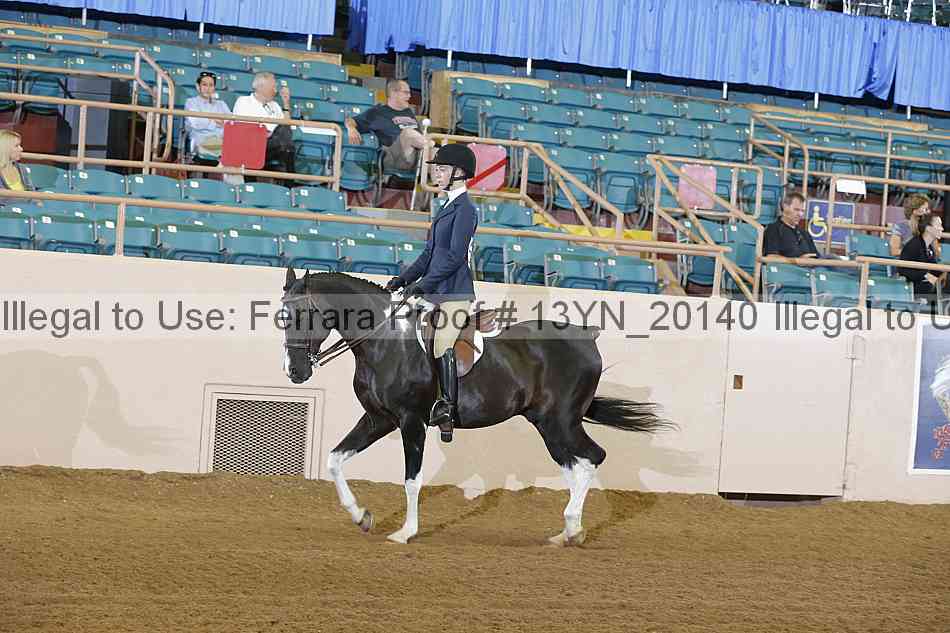 Proof 13yn_20140