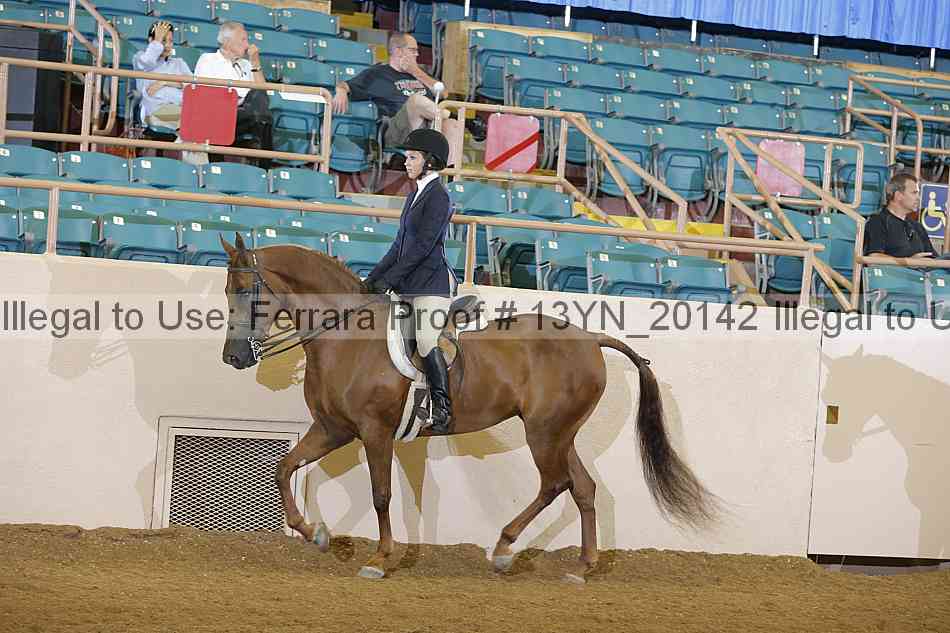 Proof 13yn_20142