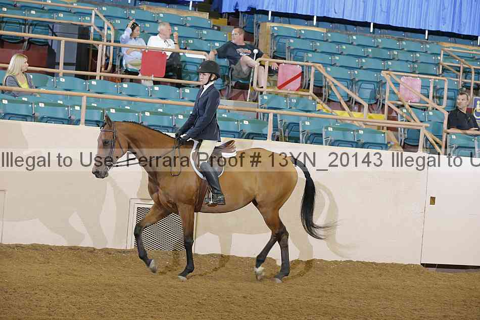 Proof 13yn_20143
