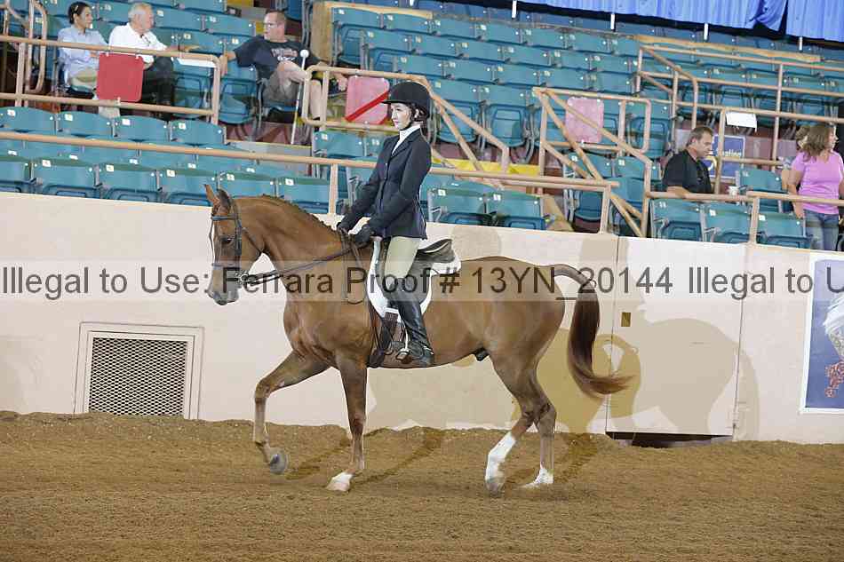 Proof 13yn_20144